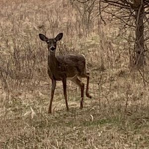 Meet your Posher, Kerry
